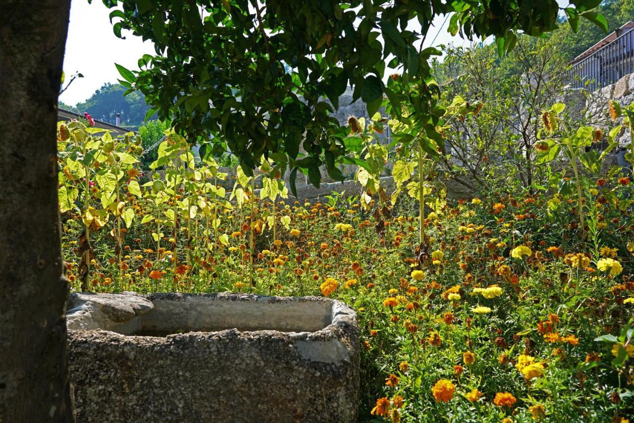 Casa Do Vale Pension Fafe Buitenkant foto